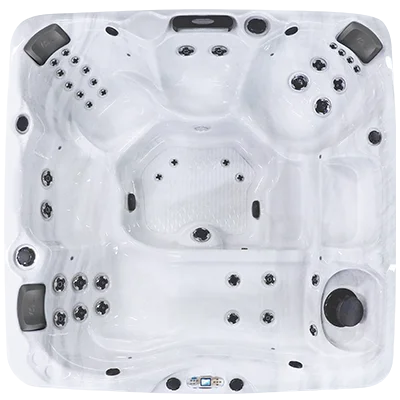 Avalon EC-840L hot tubs for sale in 
